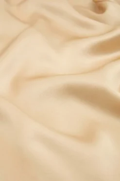 Sale Issa Caramel Slip Dressin Silk Satin Dresses
